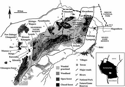 Seasonal Changes in an Afromontane Forest Bird Community in Tanzania